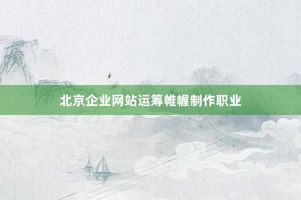北京企业网站运筹帷幄制作职业