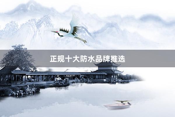 正规十大防水品牌推选